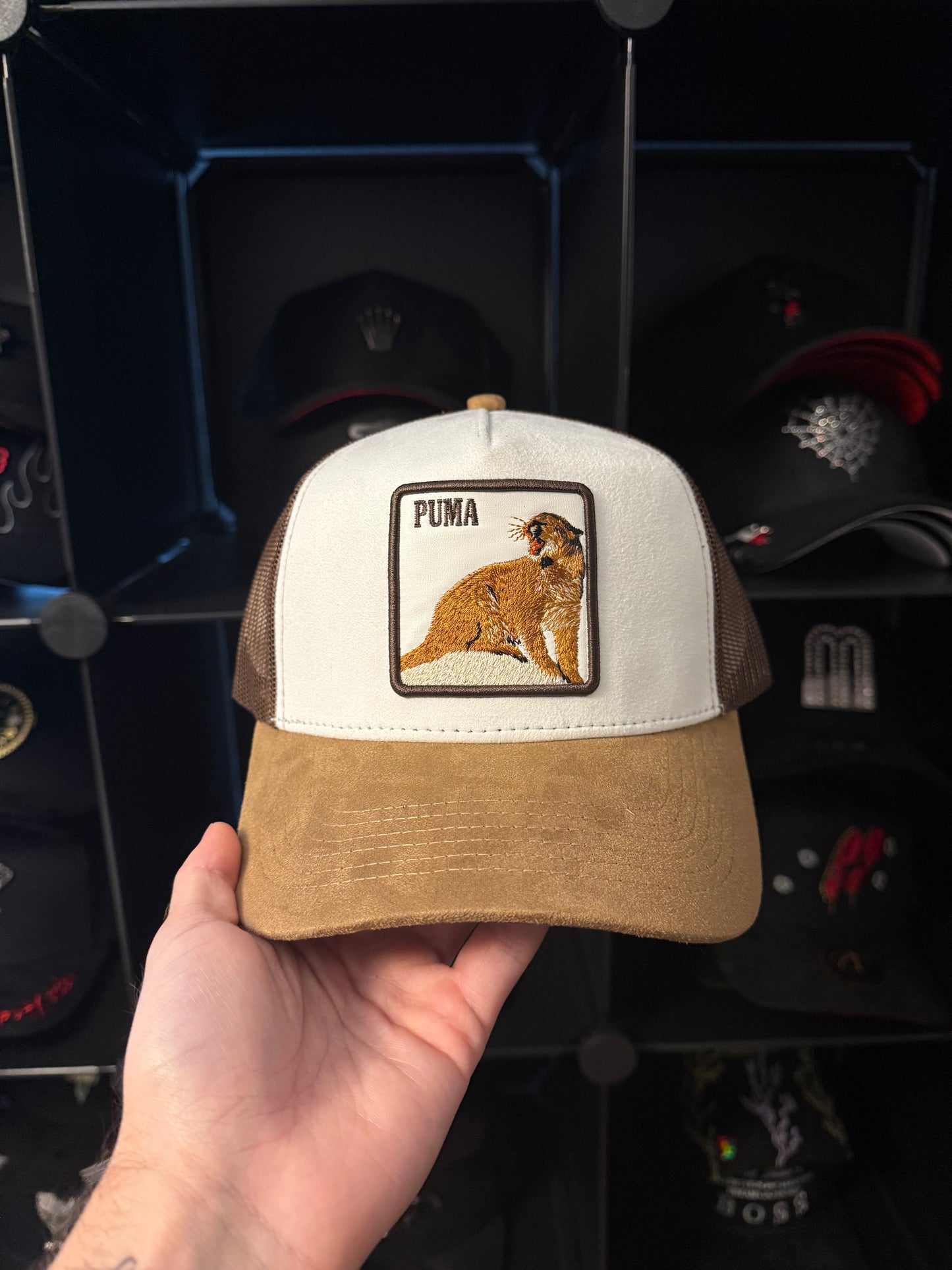 MR Puma