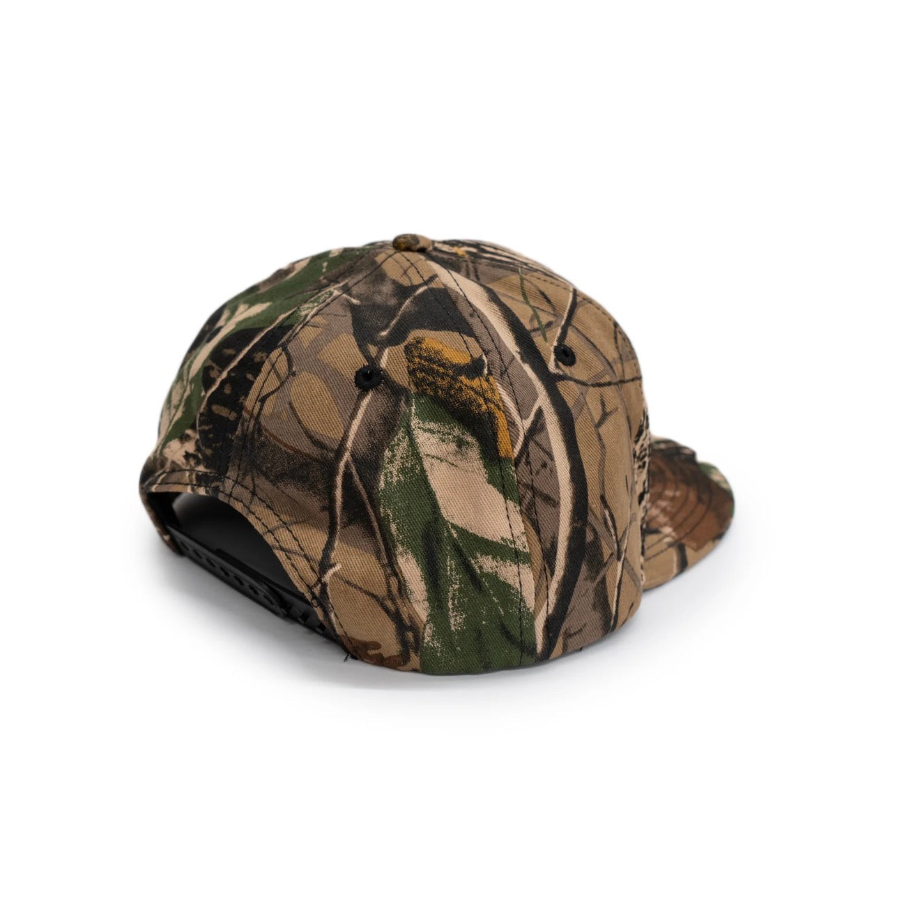 Barba Norteña Origen